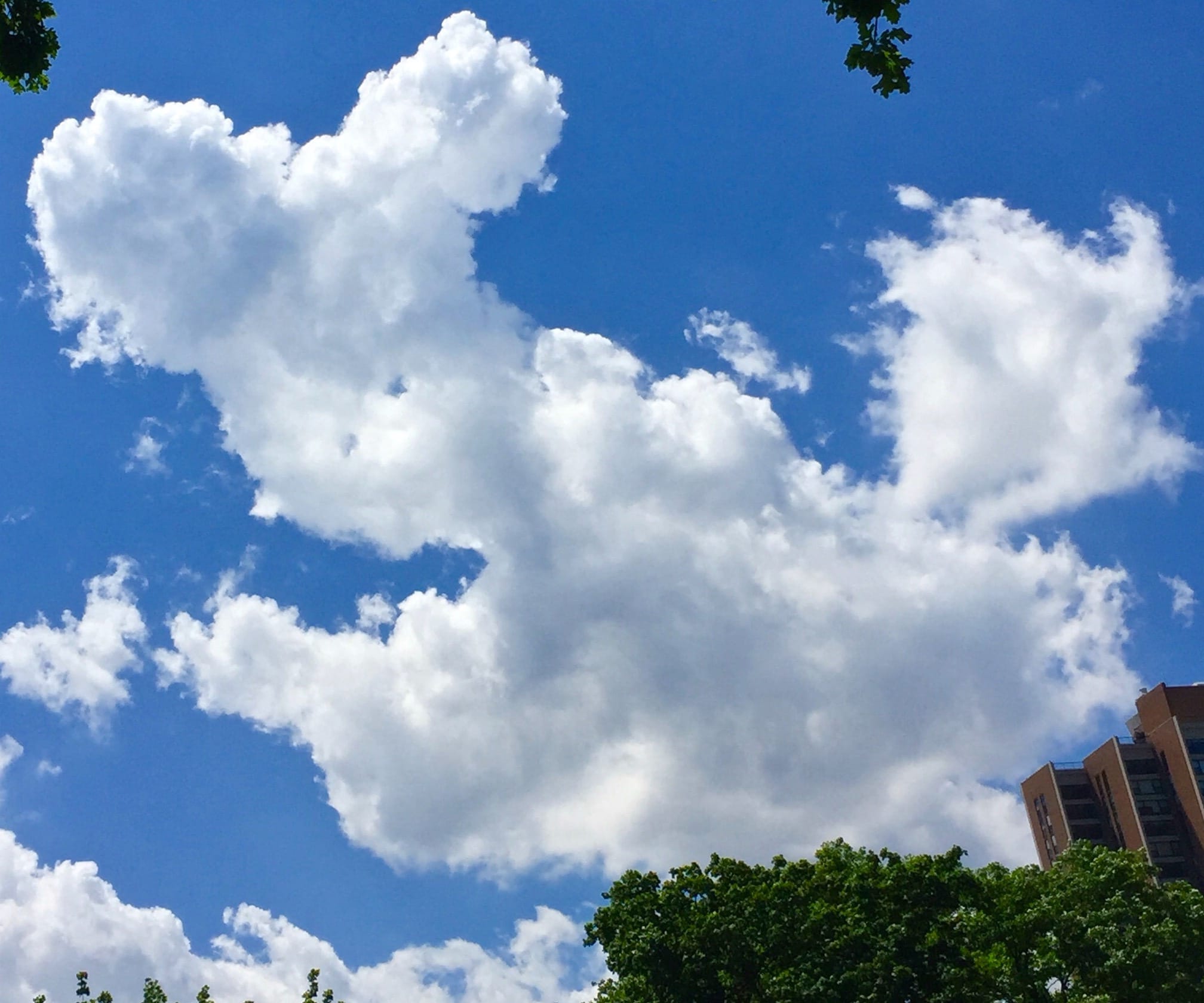 Towering clouds framed by tree branches