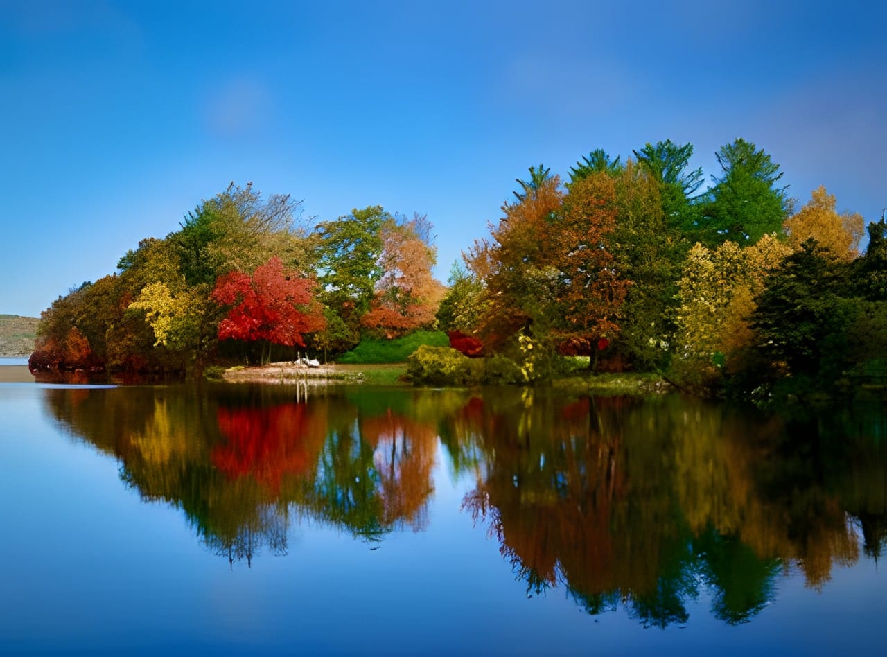 A small autumn-colored island reflected on calm blue water