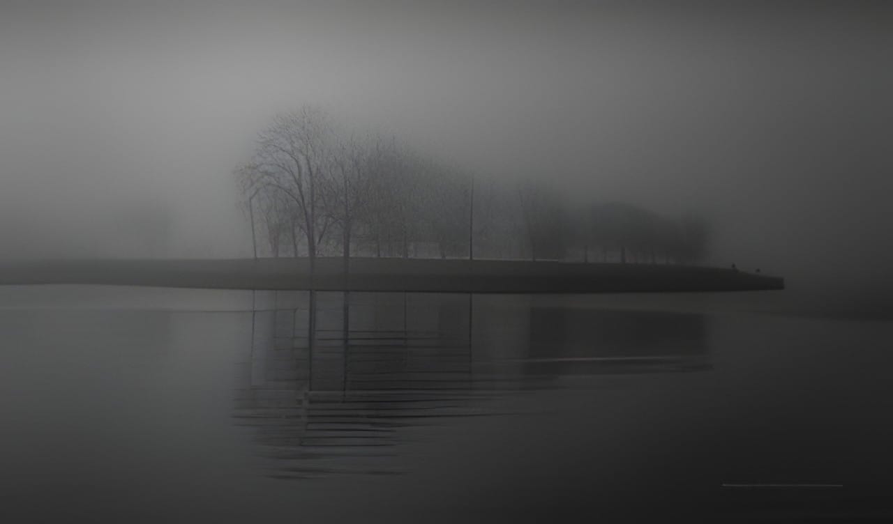 Trees fading into fog along a quiet shoreline
