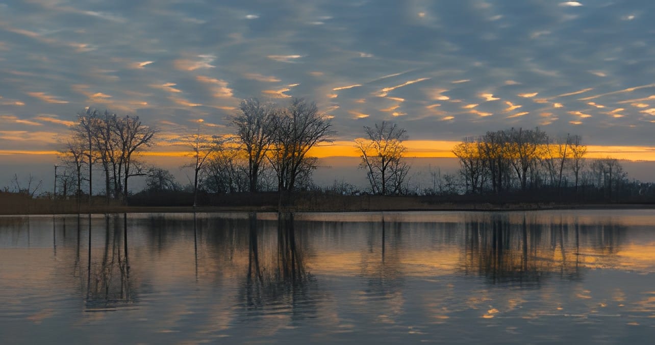A mackerel sky and bare trees reflected in still water at dawn