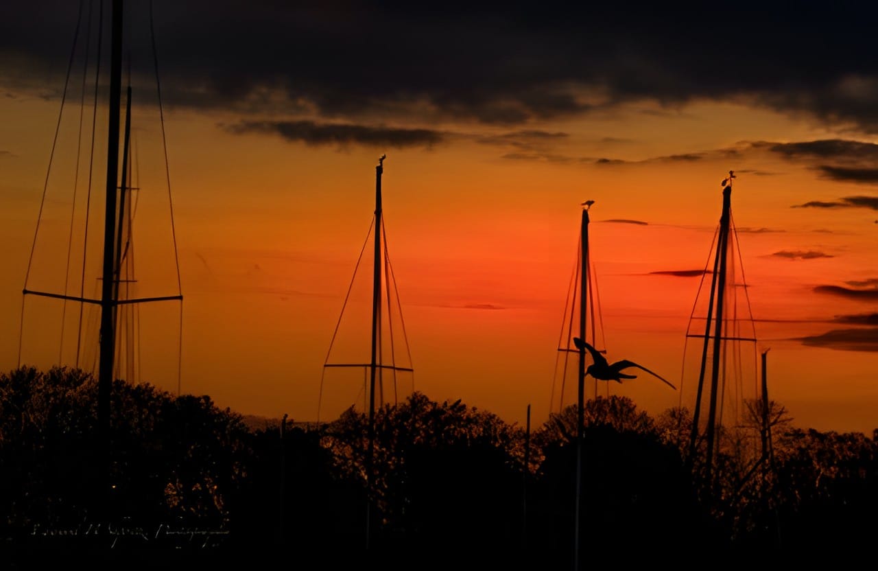 Sailboat masts silhouetted against an orange sunset sky