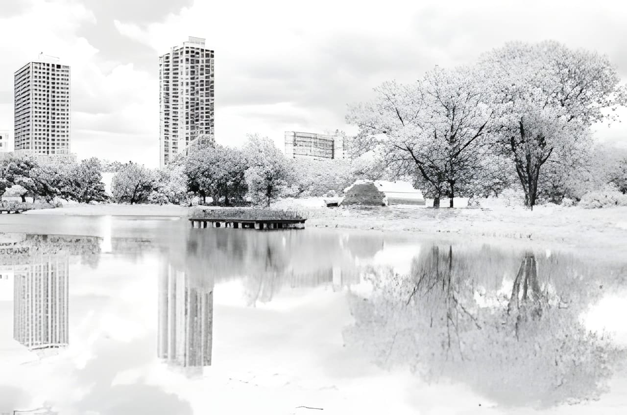 Photograph by Ed Shpritz