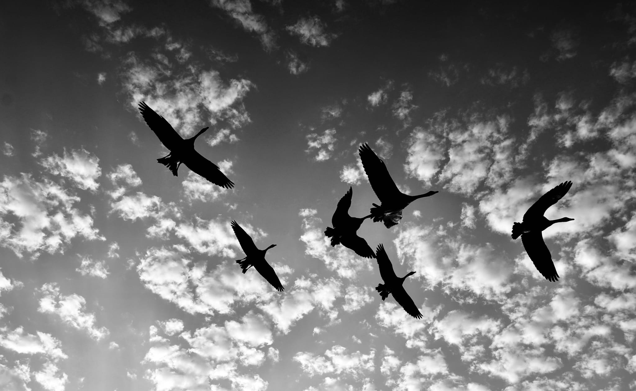 Photograph by Ed Shpritz