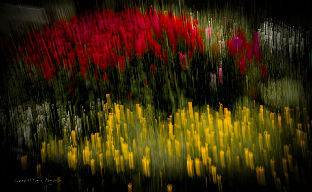 A field of red and yellow flowers blurred by intentional camera movement
