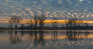 A mackerel sky and bare trees reflected in still water at dawn