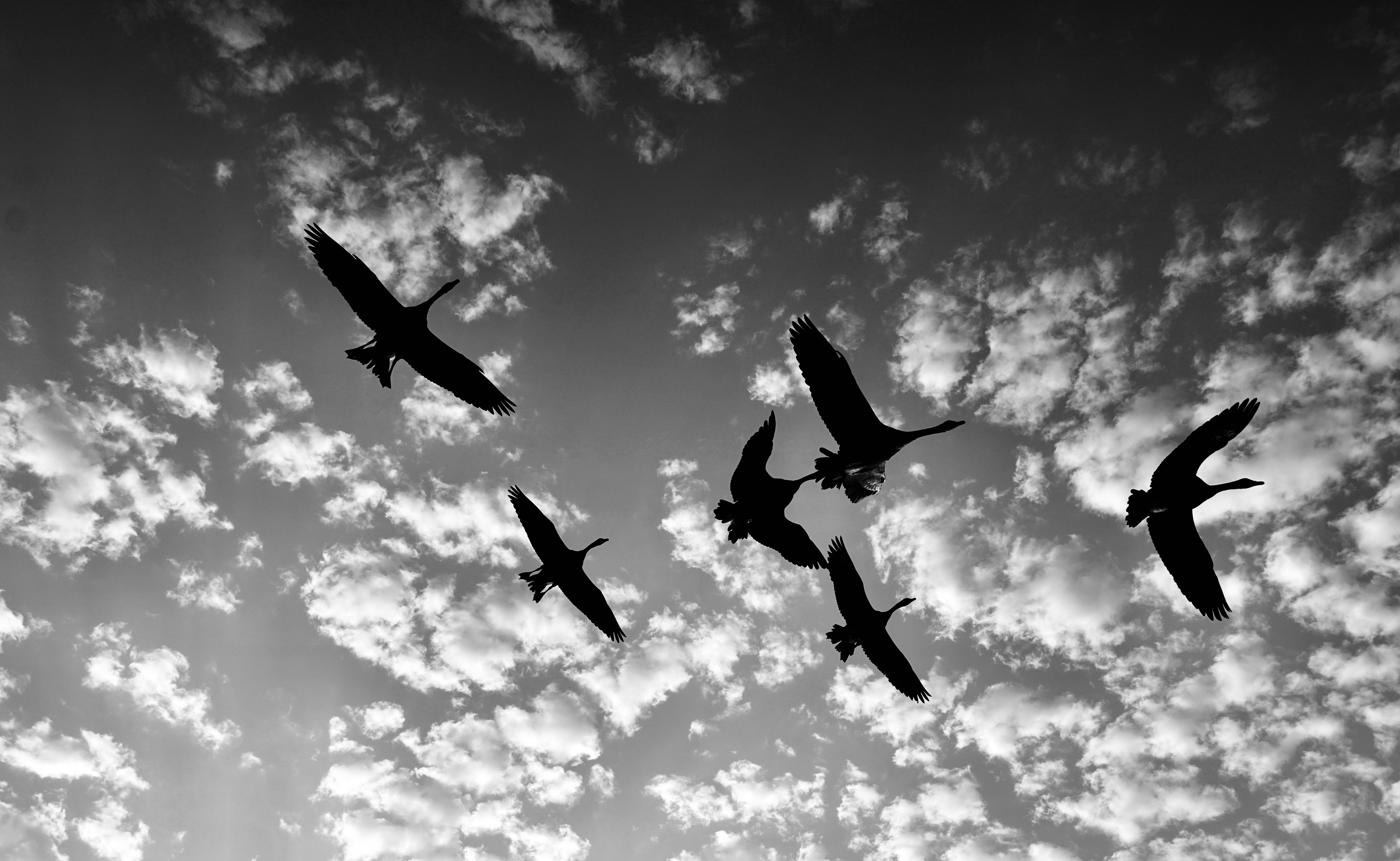 Photograph by Ed Shpritz